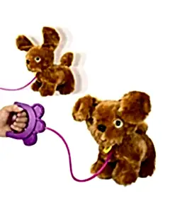 Sevimli Koşu Arkadaşım Golden