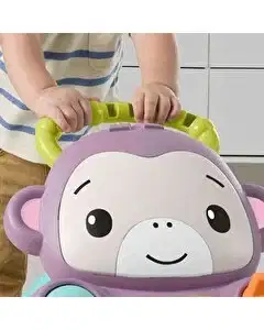 Fisher Price Sesli ve Işıklı Benimle Öğren Yürüteç JGW94