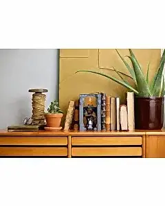 LEGO Icons Yüzüklerin Efendisi: Balrog Kitaplık Dekoru 10367