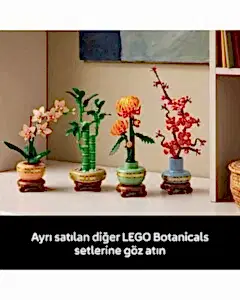LEGO Botanicals Şans Bambusu 10344