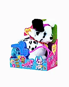 Sevimli Koşu Arkadaşım Dalmayalı Cookie