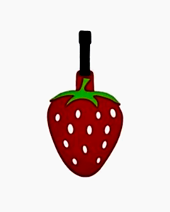 Valiz ve Çanta Etiketi