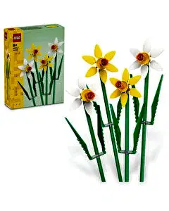 LEGO Iconic Nergis 40747