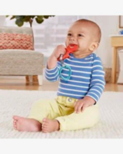 Fisher Price Sevimli Hayvancıklar Dişlikler Kırmızı Yengeç GYV39