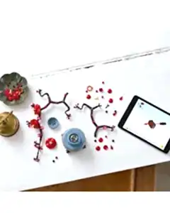 LEGO Icons Erik Çiçeği 10369