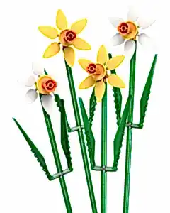 LEGO Iconic Nergis 40747