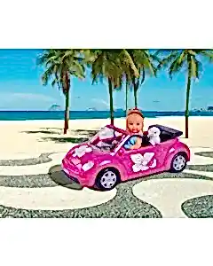 Steffi Love Evi ve Arabası