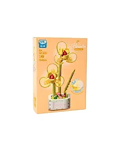 Mega Kri̇stal Çi̇çekler Yapı Blokları Song Meilan