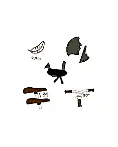 Smoby Balance Comfort Denge Bisikleti