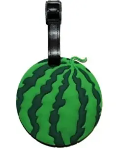 Valiz ve Çanta Etiketi