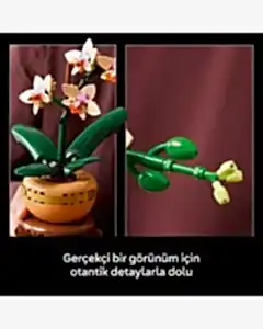 LEGO Botanicals Mini Orkide 10343