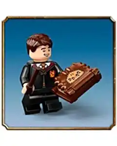 LEGO Harry Potter Isıran Canavar Kitap 76449