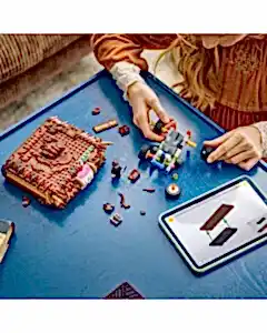 LEGO Harry Potter Isıran Canavar Kitap 76449