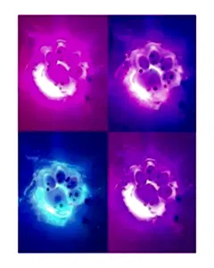 Işıklı Şeffaf Pati Squishy