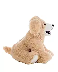 Goldie Labrador Köpek 40 Cm