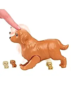 Barbie ve Yeni Doğan Köpekler Oyun Seti HCK75