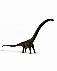 Collecta Mamenchisaurus