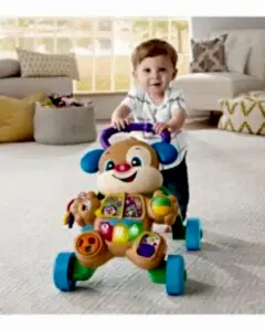 Fisher Price Eğlen ve Öğren Yaşa Göre Gelişim Eğitici Köpekçik Yürüteç FTG10