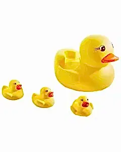 Filede Sevimli Ördek Ailesi