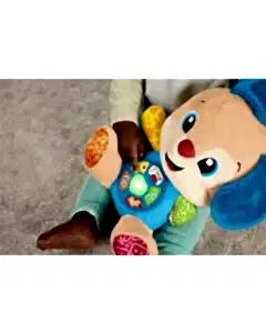 Fisher Price Eğitici Köpekçik Yeni JFD25