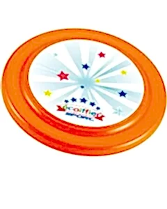 Ecoiffier 6'lı Spor Oyun Seti