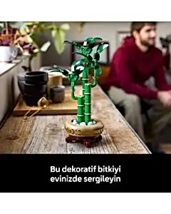 LEGO Botanicals Şans Bambusu 10344