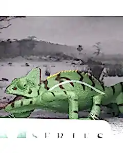 Animal World Sürüngen Serisi