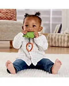 Fisher Price Sevimli Hayvancıklar Dişlikler Yeşil Salyangoz GYV37