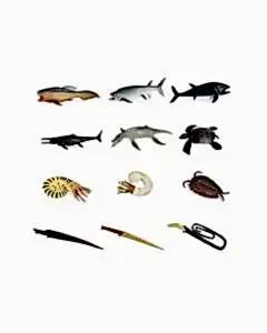 6'lı Okyanus Canlıları Hayvan Seti 2