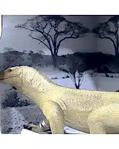 Animal World Sürüngen Serisi