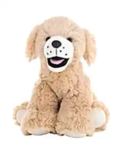 Goldie Labrador Köpek 40 Cm