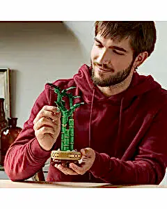 LEGO Botanicals Şans Bambusu 10344