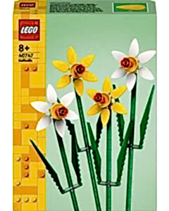 LEGO Iconic Nergis 40747