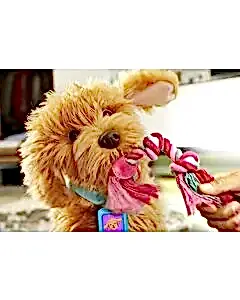 MFF Sevimli Labrador Moji Türkçe 18207