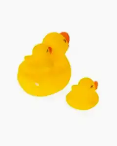 3'lü Ördek Ailesi Seti