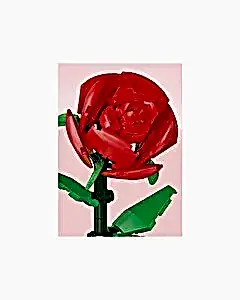 Mega Çi̇çekler ve Böcekler Yapı Blokları Salyangoz