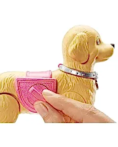 Barbie ve Tuvalet Eğitimindeki Köpeği DWJ68