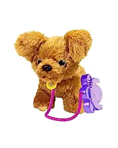 Sevimli Koşu Arkadaşım Golden