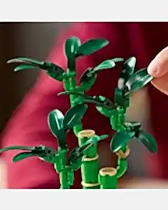 LEGO Botanicals Şans Bambusu 10344