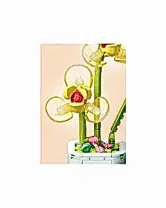 Mega Kri̇stal Çi̇çekler Yapı Blokları Song Meilan