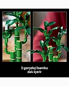 LEGO Botanicals Şans Bambusu 10344