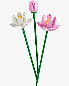 LEGO Iconic Lotus Çiçekleri 40647