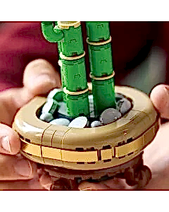 LEGO Botanicals Şans Bambusu 10344