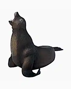 Collecta Deniz Aslanı