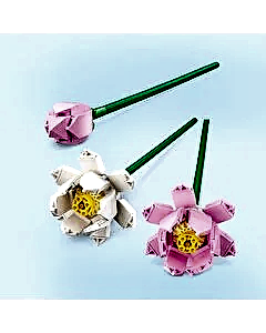 LEGO Iconic Lotus Çiçekleri 40647