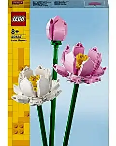 LEGO Iconic Lotus Çiçekleri 40647