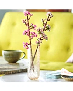 LEGO Kiraz Çiçekleri 40725