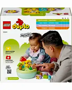 LEGO Duplo Şekil Ayırıcı: Köpek Evi 10441
