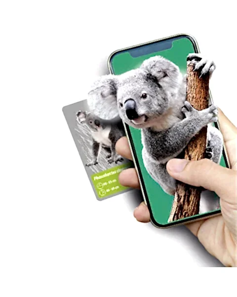 Clementoni Bilim ve Oyun: Dünyadaki Hayvanların Tarihi