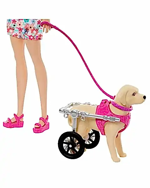 Barbie ve Engelli Köpeği Oyun Seti HTK37